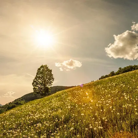 Mary Inklusive Tauern-spa *