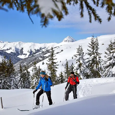 Appartamento Mary Inklusive Tauern-spa *