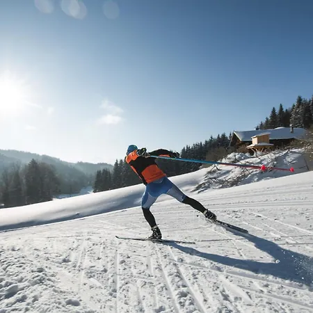 Appartamento Mary Inklusive Tauern-spa *